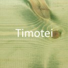 Timotei thumbnail