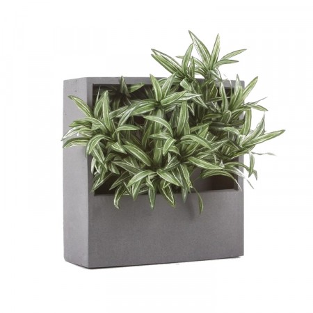 Jack Wally veggpotte – 2 stk 