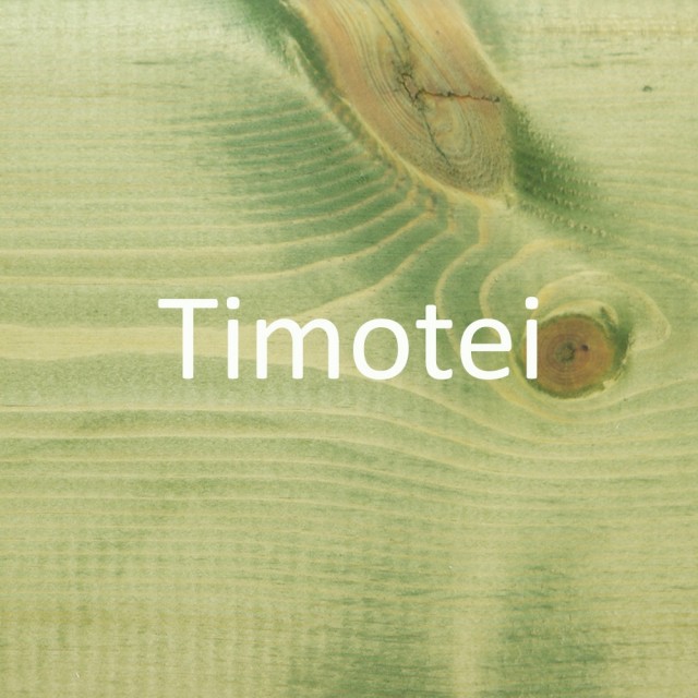 Timotei