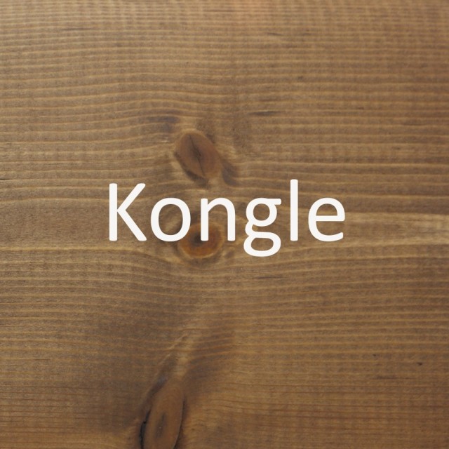 Kongle